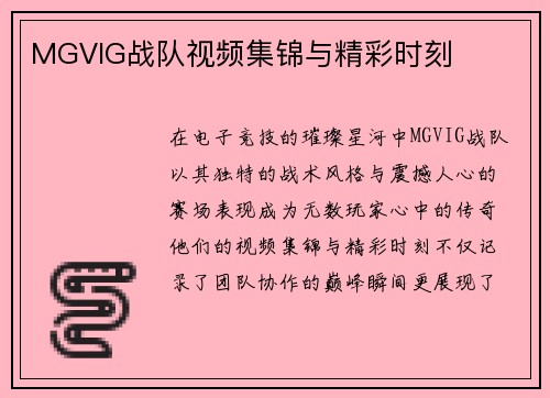 MGVIG战队视频集锦与精彩时刻