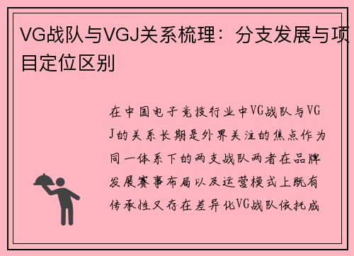 VG战队与VGJ关系梳理：分支发展与项目定位区别